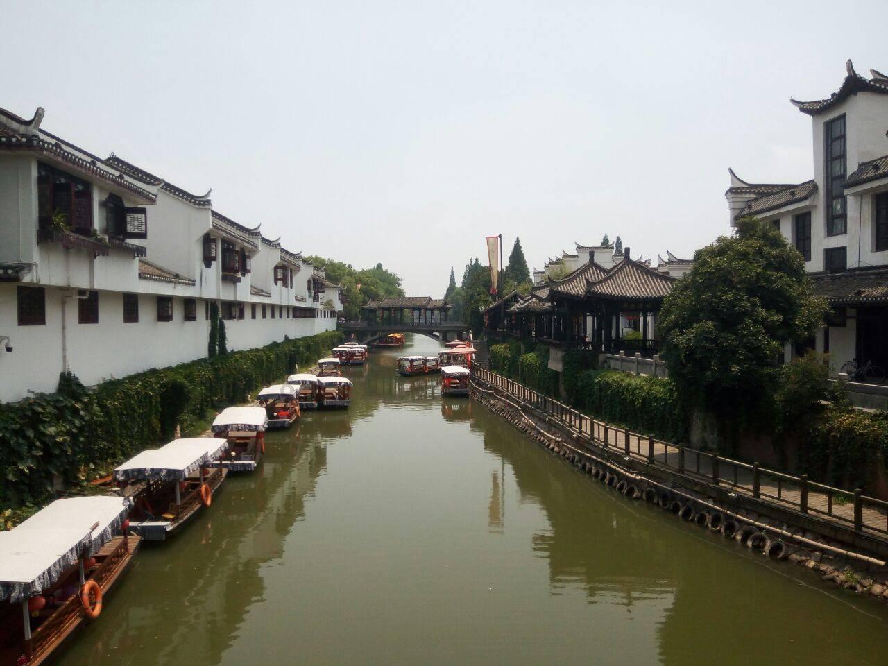 僵尸吃怪物